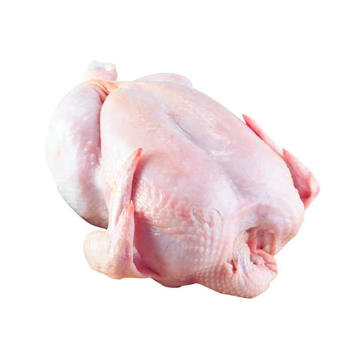 GALLINA KG